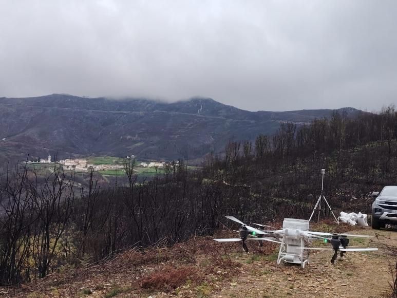 Cerdeira e Moura da Serra - Sementeira a&eacute;rea com drone (Dezembro de 2025)