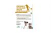 Campanha de Esteriliza&ccedil;&atilde;o Gratuita para c&atilde;es e gatos de companhia 2026