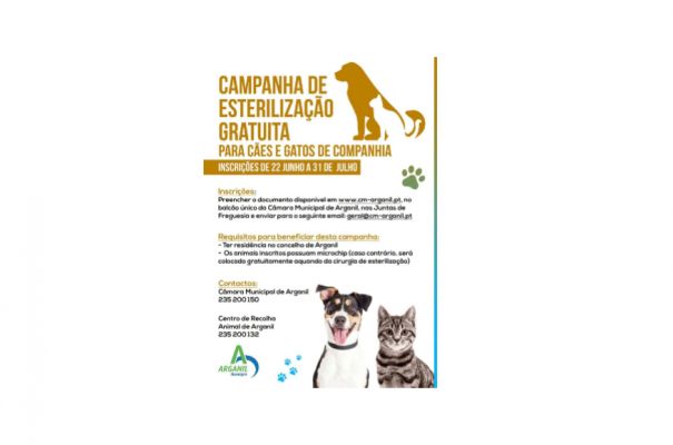 Campanha de Esteriliza&ccedil;&atilde;o Gratuita para c&atilde;es e gatos de companhia 2026